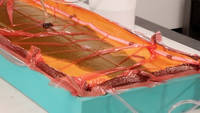 Infusing the Mold
